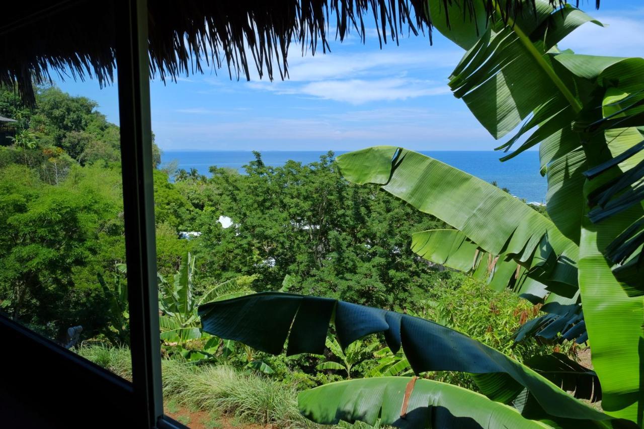 Colibri Lodge Ambatoloaka  Dış mekan fotoğraf