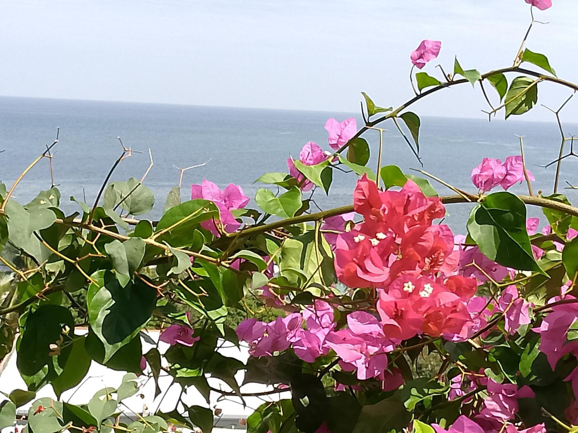Colibri Lodge Ambatoloaka  Dış mekan fotoğraf